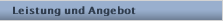 Leistung und Angebot
